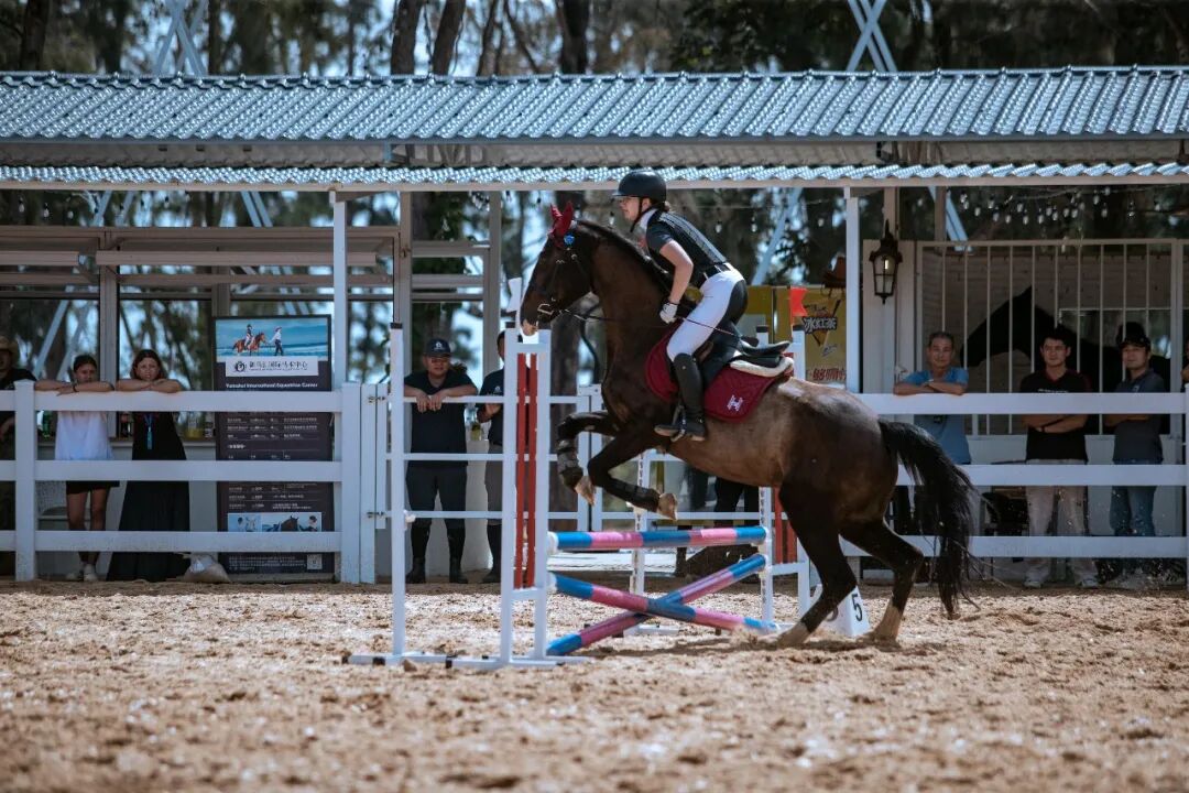 微信圖片_20260302102901_443_342.jpg 微信圖片_20260302102901_443_342.jpg